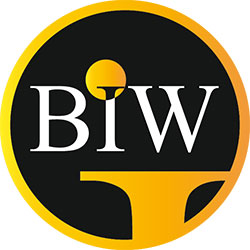 BIW Agency - Best Imaging Web